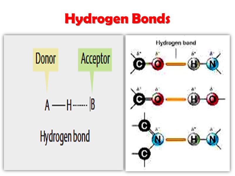 Hydrogen Bonds